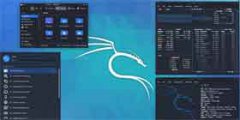 Kali Linux۸