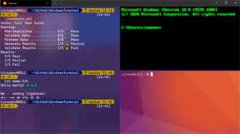 ΢ƳWindows Terminal 1.0Դ̨Ӧó