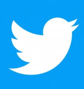 TwitterڿһԺ󱣴水ť