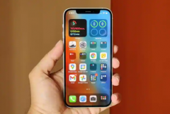OLED iPhone 12ںڰģʽ¿Խʡĵ