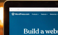 WordPressܿͻֹͣڴ˹ʱ