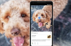 Google LensɸƶͼķȨ