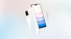 vivoֻ¿ʲôͺ2021