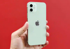 Apple iPhone 13A15 Bionic5¿ʼͶ